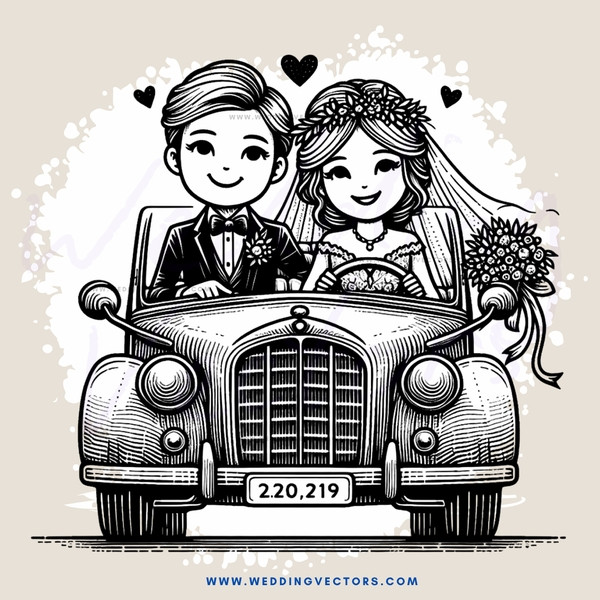 a carriage picture of bride and groom