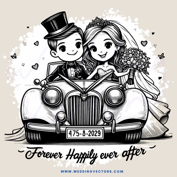 a carriage picture of the bride and groom