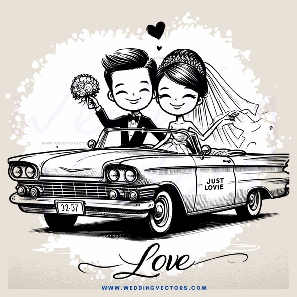 love story in car with license plate no1237