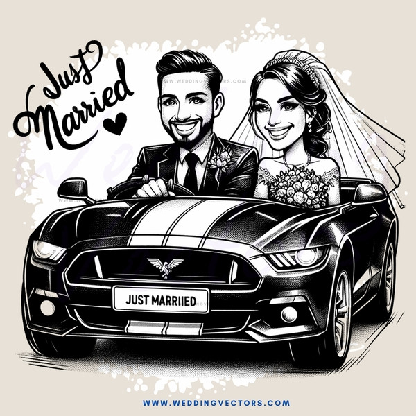 just married car picture