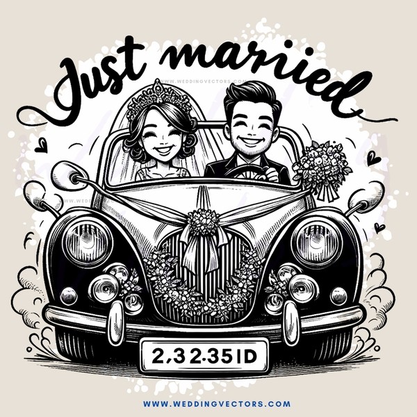 just married car picture