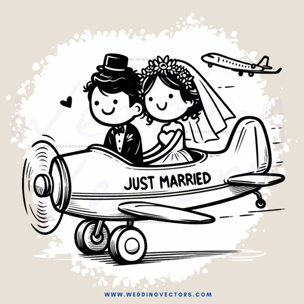 just married on airplane
