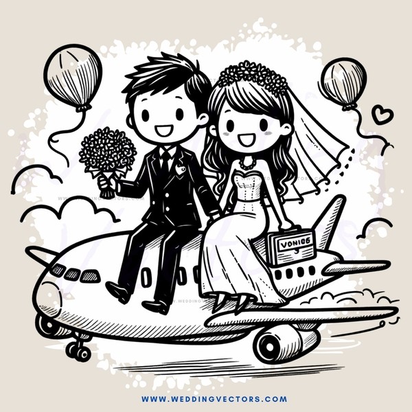 a unique wedding photo on an airplane
