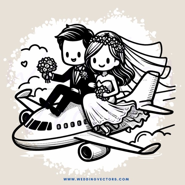 honeymooning in airplane