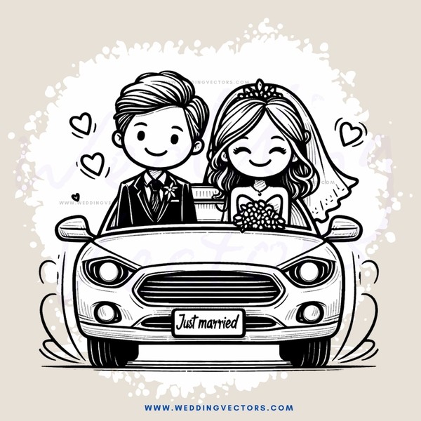 couple on car - newly married