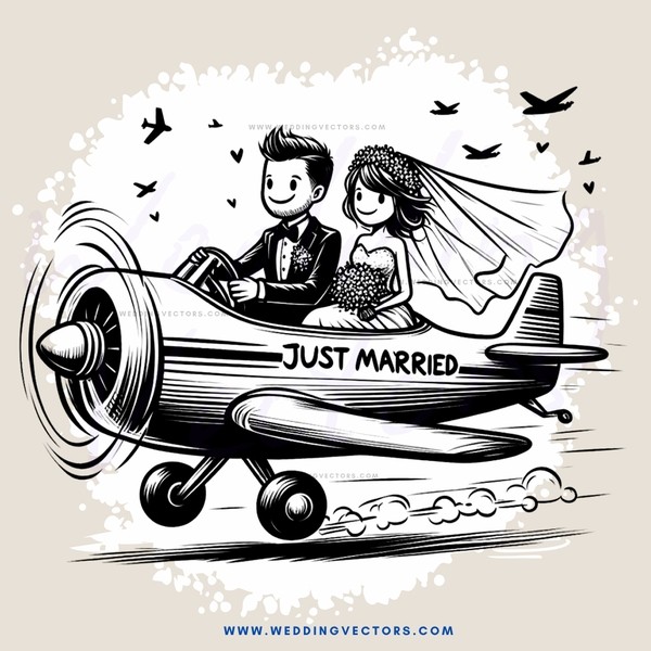 just married couple flying in plane