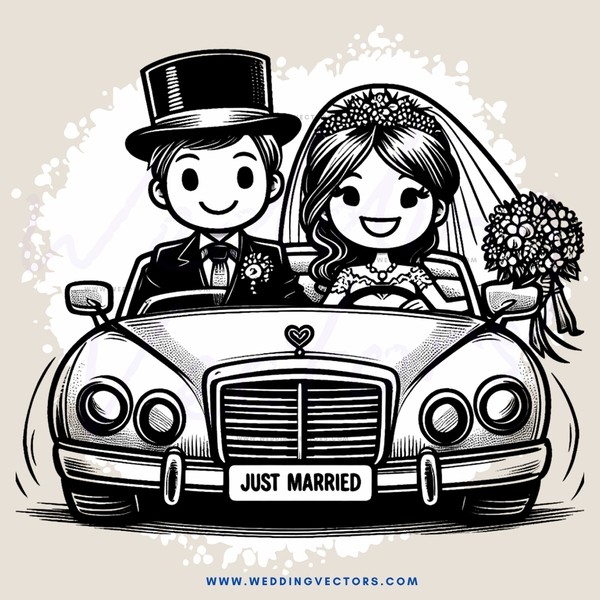a couple in a car saying "just married"