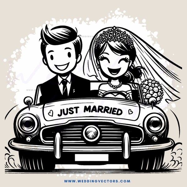 a carriage for the newlyweds