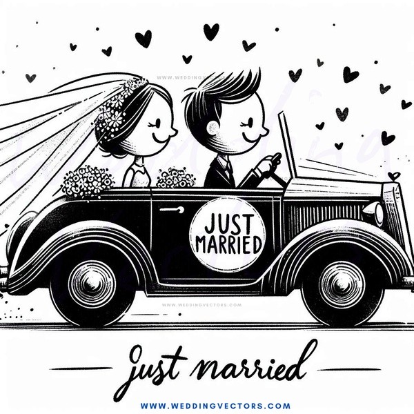 just n married carriage