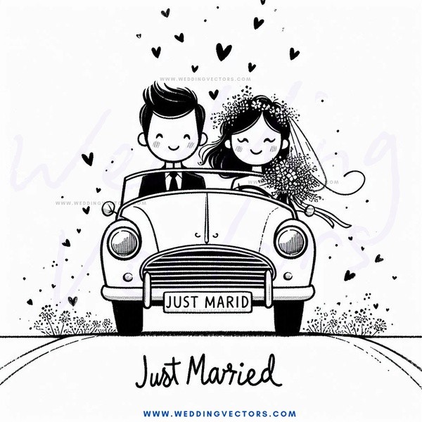 just married bride and groom in carriage