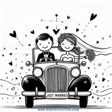 wedding carriage for bride and groom