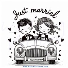 just married carriage